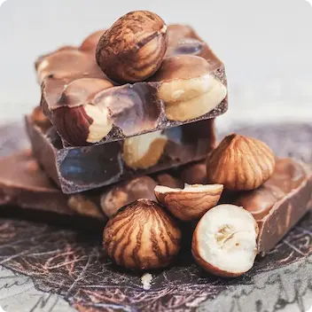Pieces of hazelnut chocolate.